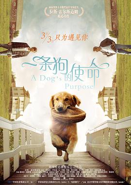 五月激情婷婷丁香